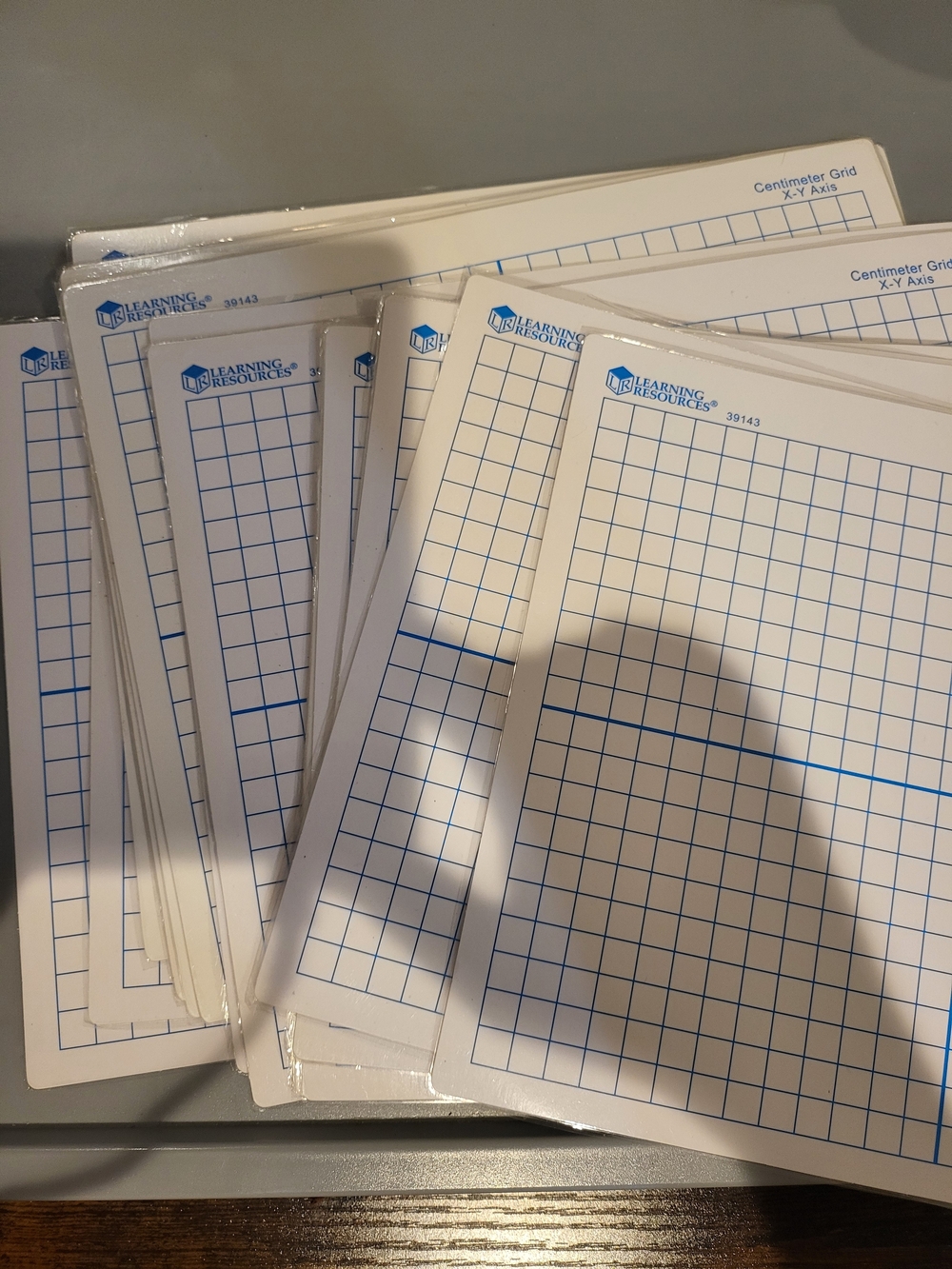 18 Laminated Reusable Dry Erase Learning Activity Sheets
